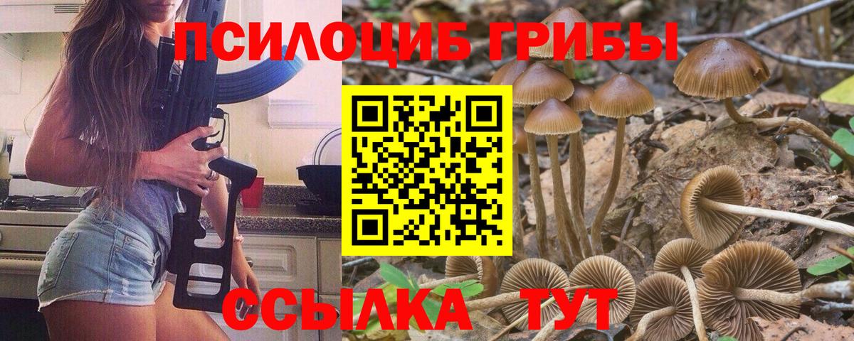 Шелехов  Псилоцибиновые грибы мухоморы  Вход с VPN 